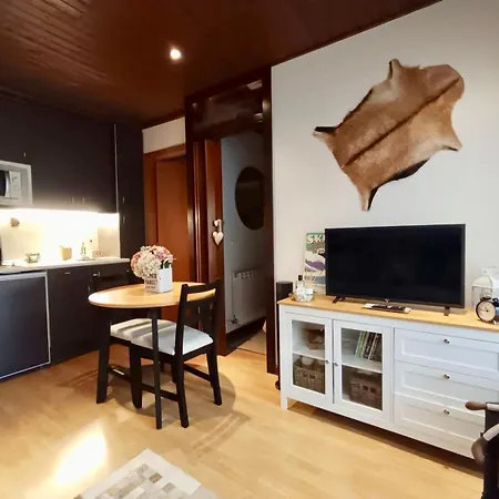 Aparthotel Xvi Vielha